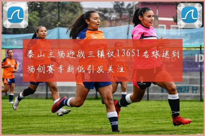泰山主场迎战三镇仅13651名球迷到场创赛季新低引发关注